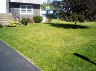 Chris W.'s lawn service service result