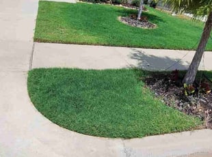Kyle B.'s turf maintenance service result