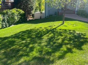 Deborah M.'s lawn maintenance service result