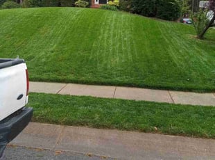 Mitchell R.'s lawn maintenance service result