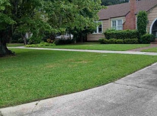 Juan A.'s lawn care services service result