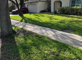 Kelvin S.'s grass cutting service result
