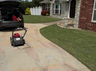 Dejan S.'s grass maintenance service result