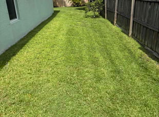 Maria C.'s lawn service service result