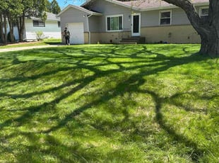 Patricia S.'s lawn care services service result