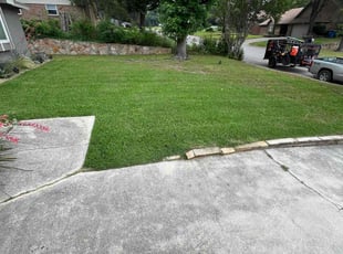 Fortino D.'s turf care service result