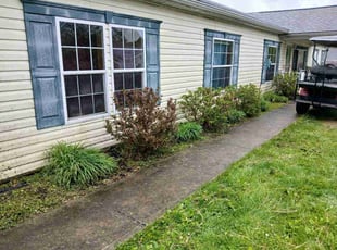 Kelly B.'s Bush Trimming service result