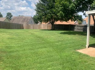 Zahira R.'s Landscaping service result