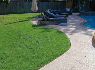 Ross L.'s lawn care service result