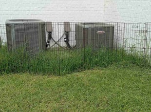 Mary C.'s Long Grass Cleanup service result