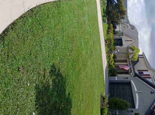 Matthew W.'s grass maintenance service result