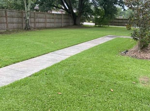 Rashan P.'s lawn care services service result