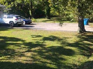 Ray P.'s grass cutting service result