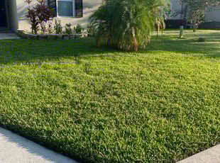 Lynda D.'s lawn care services service result