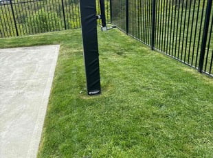 Linzhu T.'s lawn service service result