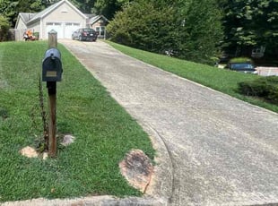 Mary D.'s grass maintenance service result