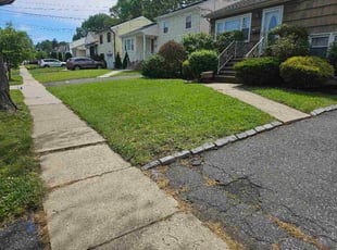 Pamela B.'s grass cutting service result