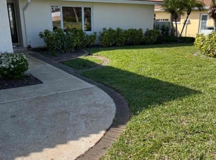 Cassandra M.'s grass maintenance service result