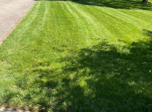 Kyle U.'s lawn care service result