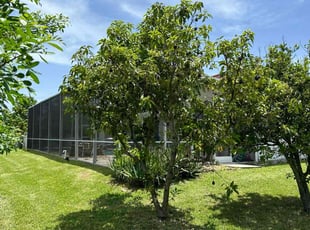 Nancy M.'s grass maintenance service result