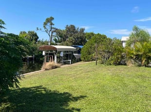 Alan W.'s turf care service result