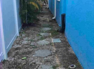 Jeff S.'s turf maintenance service result