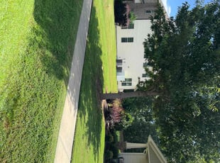 Josh G.'s grass cutting service result