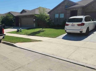 Eric D.'s lawn care service result