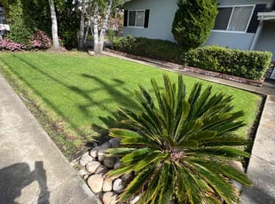 Justin B.'s yard service service result