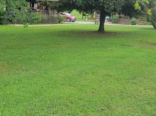 James G.'s lawn care services service result