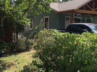 Terri T.'s Bush Trimming service result