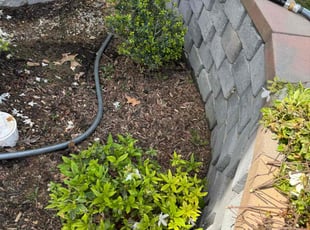 James S.'s Bush Trimming service result
