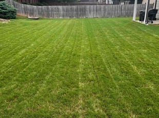 Haley A.'s lawn maintenance service result