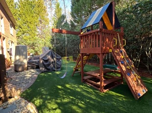 Ed A.'s lawn care service result