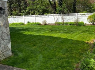 Jonathan H.'s turf maintenance service result