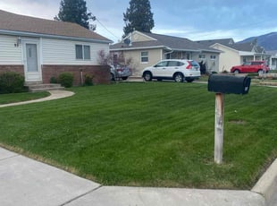 Nathan D.'s grass cutting service result