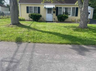 Frank B.'s lawn maintenance service result