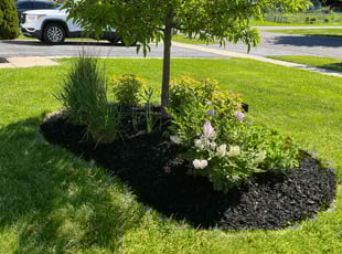 Laqunda W.'s Mulching service result