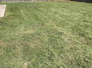 Joe S.'s lawn care service result