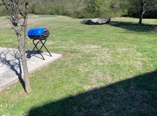 Paul M.'s lawn care service result