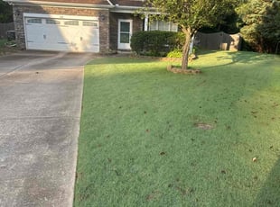 Dwayne J.'s lawn maintenance service result