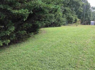 Hanan K.'s grass maintenance service result