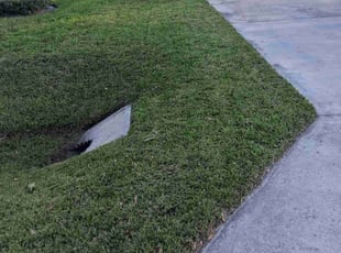 Estelle D.'s lawn care services service result