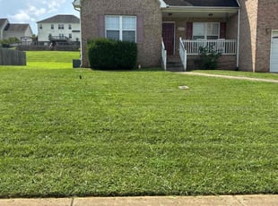 Debra P.'s lawn service service result