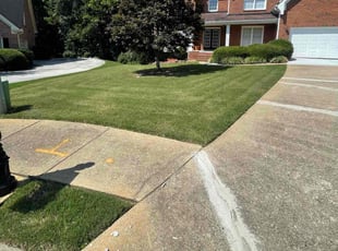 Nina C.'s grass cutting service result