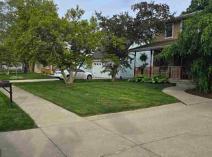 Tom L.'s lawn care services service result