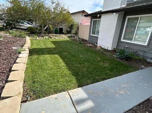 Michael P.'s lawn care services service result