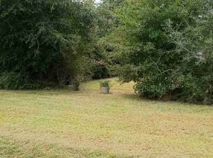 Robert L.'s lawn service service result