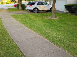 Frank C.'s Leaf Removal service result