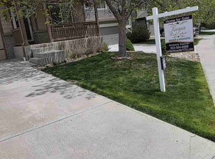 Luca C.'s grass cutting service result